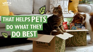 Our recipes are packed with proper meat, offal & vibrant veg. The good stuff going in, lets their magic come out. | Lily's Kitchen