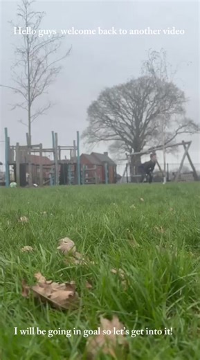 BATMAN (@fire_fc0)’s videos with original sound - BATMAN