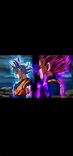 raton_laveur sur TikTok