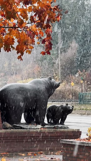 It’s happening! The first snowfall in town. ❄️ #Revelstoke #TheRealStoke #Kootrocks #ExploreBC | Revelstoke
