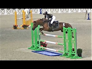 ■ 28/05/2022 - Concours Fontainebleau - As poney Elite GP - Douce de Grimou - CSO - Clara Maitre