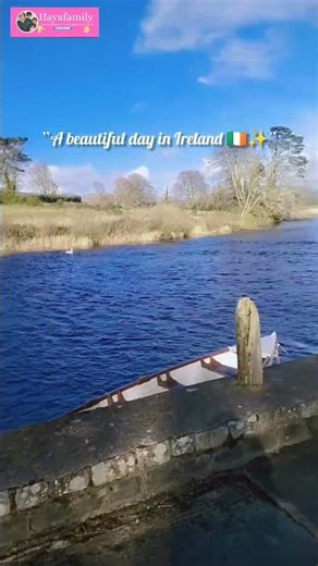 “Kids Fun Day in Ireland🌳☀️ Family Time😊#YouTubeShorts#IrelandLife#fyp #KidsFun#FamilyTim#IrishLife