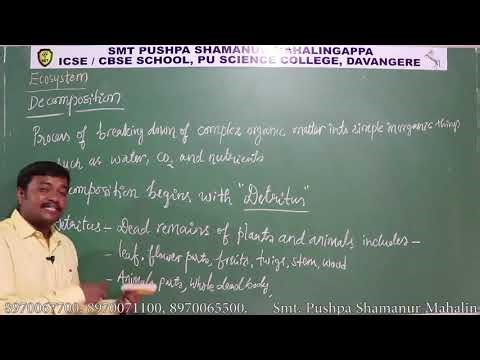 Karnataka’s Most Trusted Residential PU Science Campus 03 Ecosystem