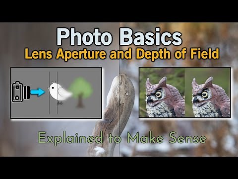 Photo Basics - Aperture and Depth of Field