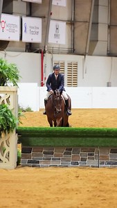Multiple AQHA and NSBA World Champion, ALLOCATE IN GREEN, jumping to a 4th Place finish in the Senior Working Hunter at the 2025 All American Quarter Horse Congress! “Sy” is proudly owned by Gary & Darcy Stricker. #SyGuy Thank you to Shane Rux Photography for this great content! 🎥 | Ryan Painter Show Stables