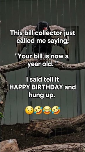 happy birthday bill. 🤣🤣 #funnyvideo #happybirthday #shortvideos #fypシ゚viral
