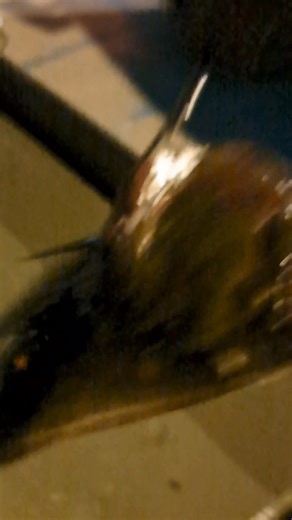 33 reactions · 7 comments | Breadman Ventures Guide Service | Allen Jernigan | Facebook