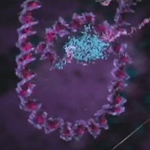 DNA Damage and Mutations