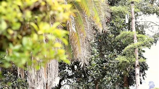 Openlens Films/Photography on TikTok