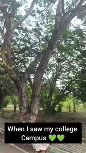 college campus #davangere #university #shivagangothri #college #campus #nature