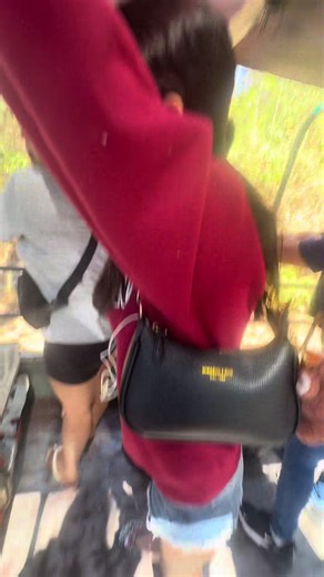 Take Me Home: A Journey of Nostalgia