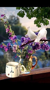 Ne zaboravi me ti... | Škrinjica