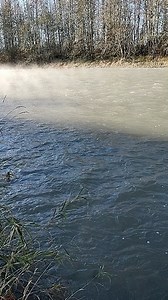 2.4K views · 498 reactions | Robin Hobb on Reels | Facebook