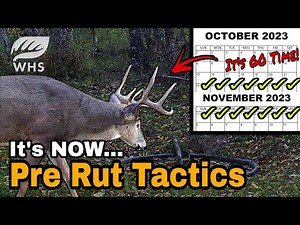 How To Bowhunt The Pre Rut