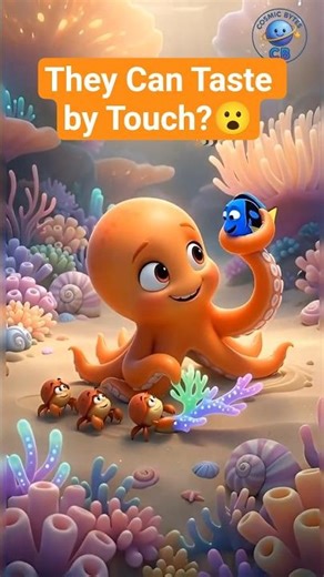 it keeps touching everything... 😳🐙 #cute #animals #facts #octopus