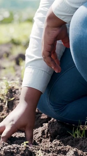 NEW! Grade 3 Science Ontario Plants Teaching Resources. Teach science through agriculture with narrated teaching slides, hands-on activities, work sheets, videos, and thought-provoking questions. And, it’s free! 👩‍🏫 https://goodineverygrain.ca/wp-content/uploads/2023/04/Good-in-Every-Grain-Whats-Growing-ON-Quick-start-guide.pdf | Good in Every Grain