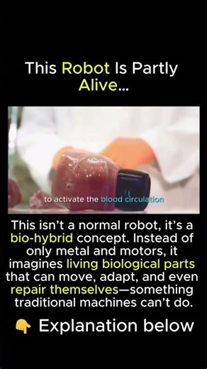 This Shouldn’t Exist 🤯