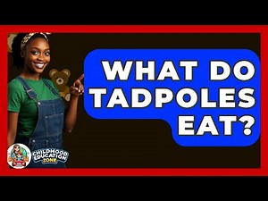 What Do Tadpoles Eat? - Childhood Education Zone