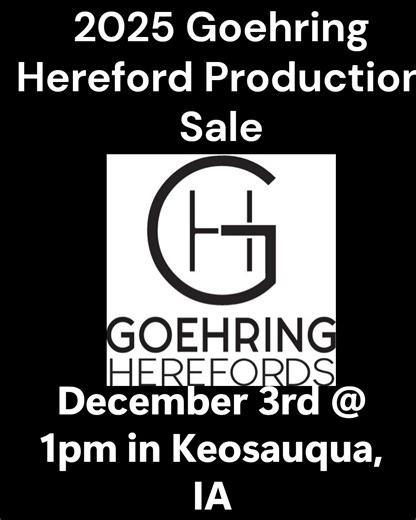 Whew! What a week! We have been hard a work this week. All of the heifers went through the chute and got re-pregged, wormed, poured and their first scour shot. Today was video day!! All the sale animals got their lot tags and videos taken! Luckily we have had pretty good weather to get through them all. It takes a village to get everything done and we are sure thankful for ours! Videos should be available within a week. Be sure to let us know if you would like a catalog! The deadline to get thos