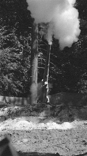 German Flak Cannon Firing at C-47 #ww2 #flak #germanarmy #c47