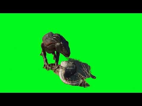 Indoraptor green screen
