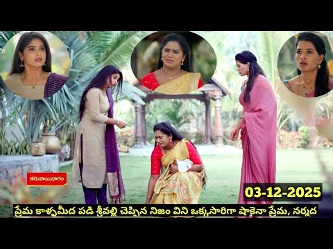 ప్రేమ కాళ్ళమీద పడి చేసిన తప్పును ఒప్పుకున్న శ్రీవల్లి