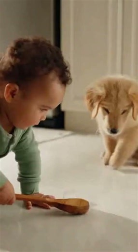 Baby vs. Puppy Ice Hockey! 😂 The Ultimate Floor Match #Shorts #funnydogs