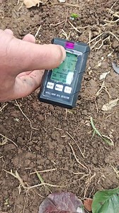 18K views · 117 reactions | Cross chek soil ph metre Previous lab results was also acidic, last year Applied dolomite but only near plant canopy | MY STATE MY PRIDE | Facebook