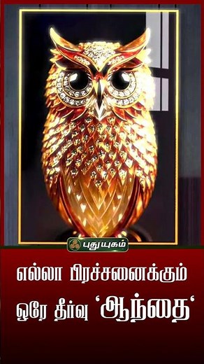 வீட்டில் ஆந்தை படம் இருந்தால் என்ன நடக்கும்?💰✨ - Dr.வரம்.T.சரவணாதேவி #AstrologyTips