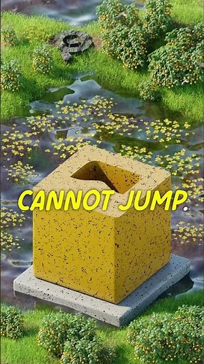 Unsettling Facts That Are 100% True 👀