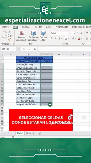 Cómo se debe agregar check con iconos en excel #especializacionenexcel #excelfácil #excel #excelonline #exceltaller #excelpractico #excelbasico #excelintermedio #excelavanzado #excelplantillas #excelmoderno #excelprofesional #exceladministrativo #aprendeexcel #aprenderexcel