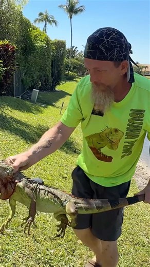 HUGE iguana taken down by lake! #shorts #iguana #hunting #lake #lizard #wildlife #animals #florida
