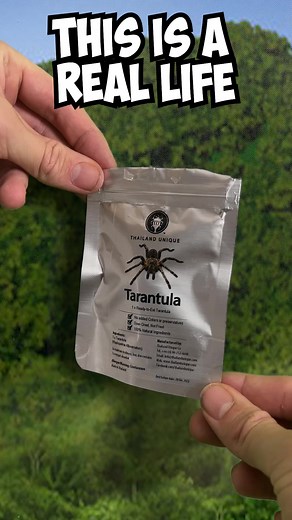 42K views · 1.1K reactions | Gummy vs Real Food Challenge | Jake Sweet | Facebook