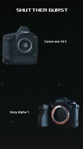 Canon eos 1dx mark ii vs Sony Alpha 1 #1dxmark2 #sonya1