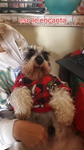 Coco y su hermana: ¿El traidor en casa?
