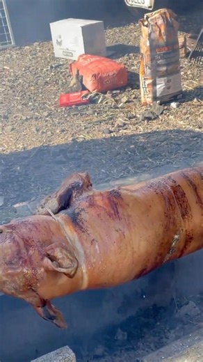 Cooking a Whole Pig on the Spit!