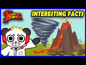 COMBO PANDA Learns INTERESTING FACTS ! Educational Video Learn Tornado + Volcano Lava