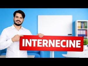 Internecine | Meaning, Use, and Pronunciation
