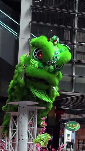 Liondance Performance by Xuan Long Sports Association
