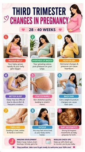 🤰 Third Trimester Changes in Pregnancy (28–40 Weeks) 👶✨ #trimester3 #pregnancysymptoms #3rdtrimester