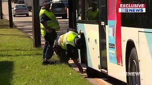 209K views · 294 reactions | It's a frantic scene - a bus driver...