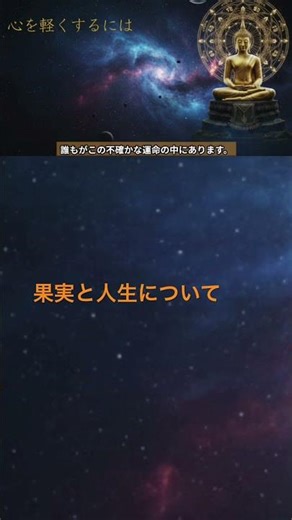 果実と人生について【タイ仏教の教え】