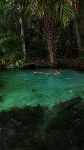 2M views · 16K reactions | Dreamy jungle waters冀﫧 #relaxing #jungle #paradise #river #swimming #nature #wanderlust #adventure #vacation #getaway #forest #forestbathing #peace #naturetherapy #travelwithme #explore #magical #hiddengems #florida #floridasprings | Lakewet | Facebook