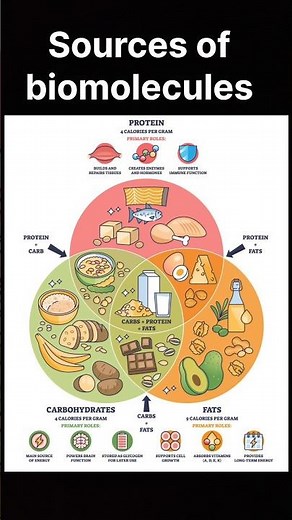 🫵Biomolecules Basics# | Easy Explanat🧬