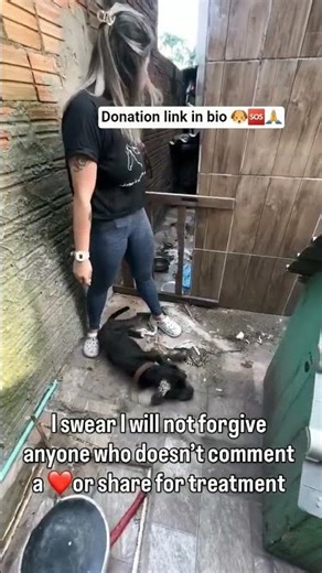 Urgent support needed for this innocent soul please any specific amount counts for her🐶🆘️🙏