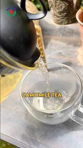 Benefits of Camomile tea