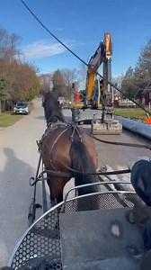 119K views · 3.2K reactions | Connemara filly Frolic faced one of her...