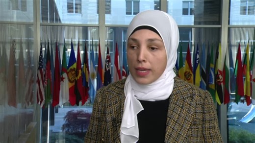 VOA Interview: Special Advisor on International Disability Rights Minkara