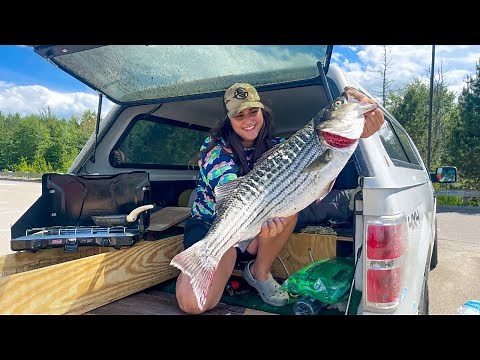Catching and Cooking Striped Bass In My Truck Camper (CAMP, CATCH, CLEAN, COOK)