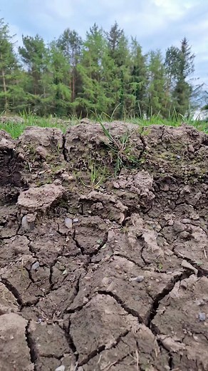 Latest piece of kit, Valentini Stone Burier, can't believe the work it's doing😍 them tracks were soooo deep😩 good as new now😄💪 who else needs this?💁‍♀️ #agrispec #daily #contractorsofireland #farmingireland #womeninag #fyp #valentini #stoneburier #reseed #hirework #contractwork #claas810axion #claas